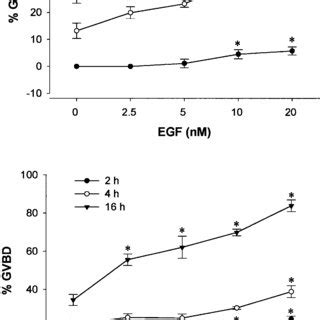 Interactive Effects Of Hcg And Egf Tgf On Zebrafish Final Oocyte