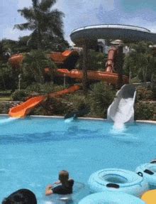 Waterpark Gif - IceGif