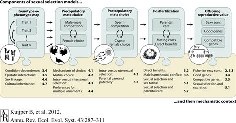 A Global Overview Of The Main Components Of Sexual Selection Theory Download Scientific