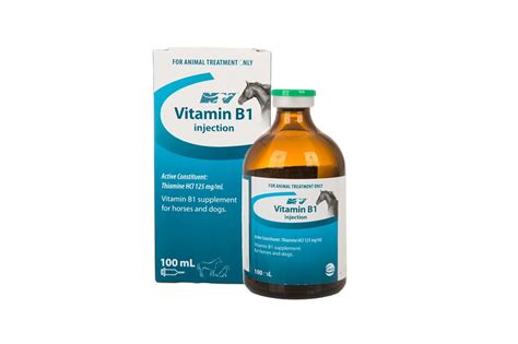 VITAMIN B1 100ML