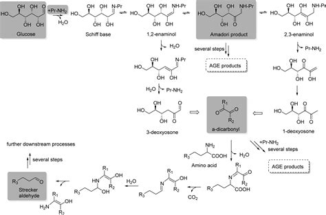 Control Of Maillard Reactions In Foods Strategies And Chemical