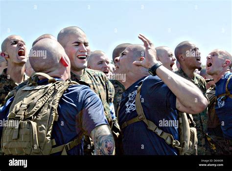 Us Marine Corps Drill Instructors Screams At A Marine Recruit During