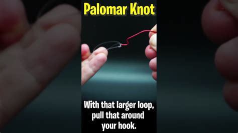 How To Tie A Palomar Knot Bass Fishing Tips And Techniques Shorts