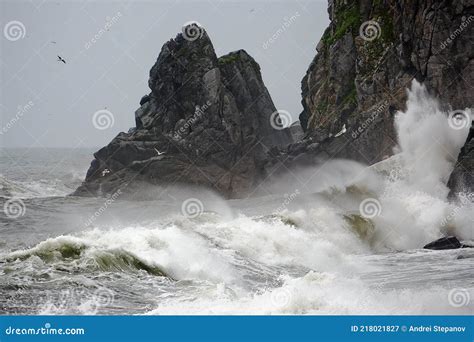 Stormy Seascape Waves And Surf At The Rocky Cape Uelen At The Entrance