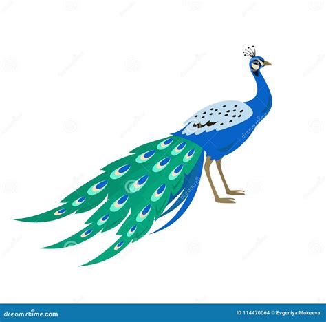 Peacock Icon Silhouette Logo Design Isolated On White Background