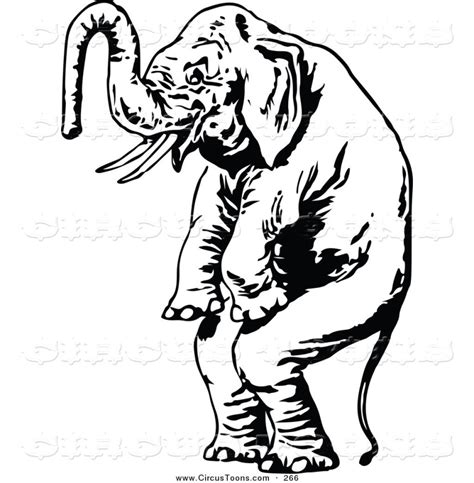 White Elephant Clipart Free Download On Clipartmag