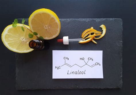 Linalool Medical Terpenes - Medical Terpenes