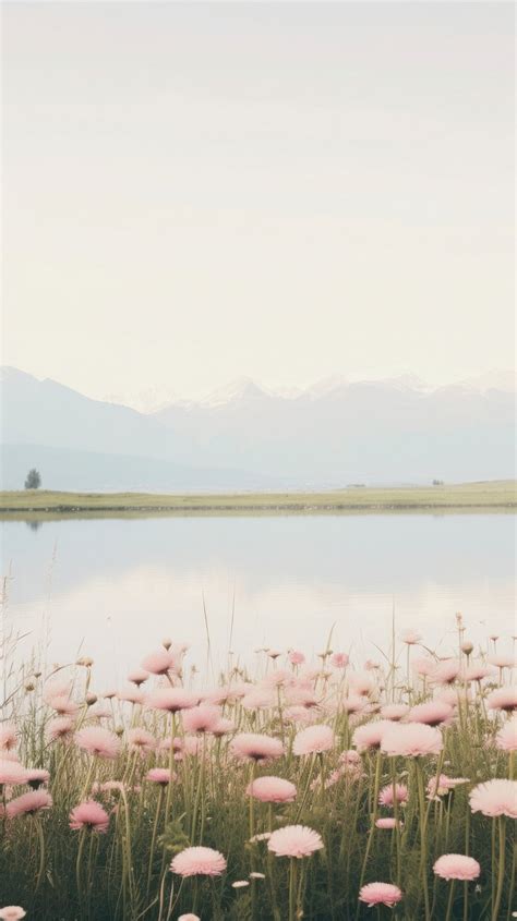 Pastel Green Aesthetic Wallpaper Images | Free Photos, PNG Stickers, Wallpapers & Backgrounds ...