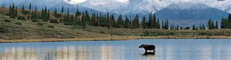 Experience the Best Alaskan Luxury Cruises | Silversea