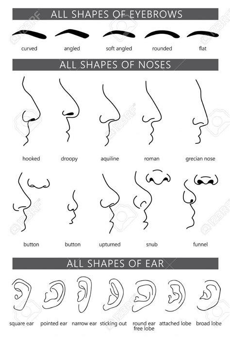 The Shape of Your Nose Tells a Ton about Your Personality.. in 2024 ...