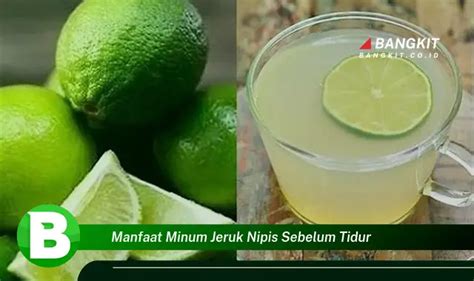 Intip Manfaat Minum Jeruk Nipis Sebelum Tidur Yang Bikin Kamu Penasaran