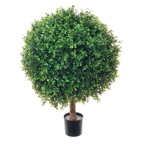 Acheter des Plante artificielle Buis TOM tronc naturel 80cm Ø60cm