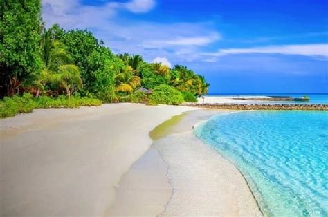 Menjelajahi Keindahan Tersembunyi Pantai Ngliyep Pesona Pasir Putih