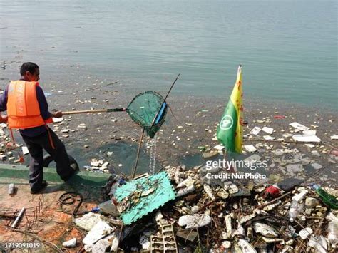 570 Yangtze River Pollution Stock Photos, High-Res Pictures, and Images ...