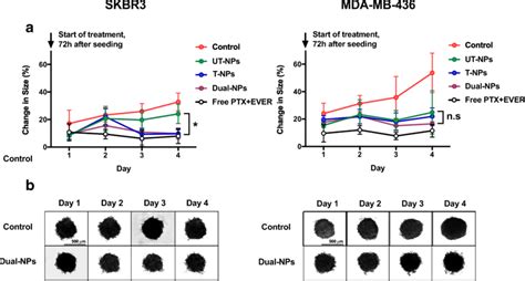 A Cytotoxicity Of The Free Ptx Ever Vs Dual Nps T Nps Or Ut Nps In