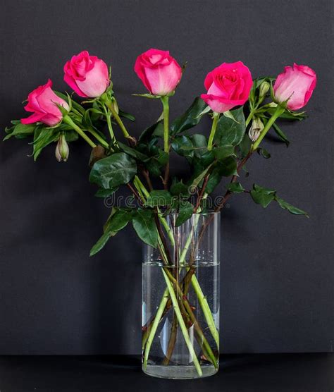 Bouquet Of Pink Roses In The Glass Vase Stock Image Image Of Blossom