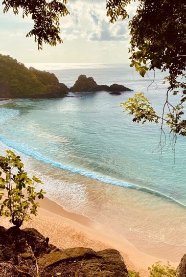 Fernando De Noronha Budget Travel Guide Updated Artofit