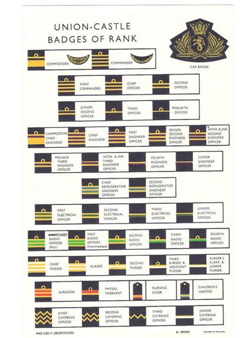 Haut 103 Imagen Cruise Ship Officer Ranks Fr Thptnganamst Edu Vn