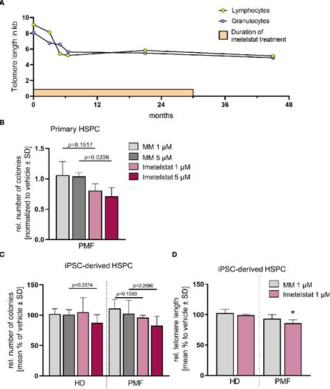 Figure 2 From The Telomerase Inhibitor Imetelstat Differentially