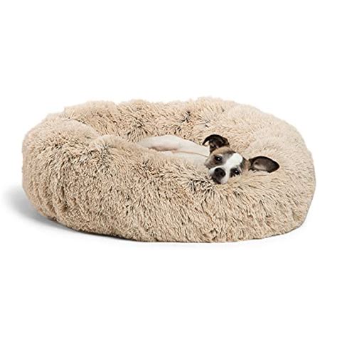 Top 10 Lovesac Dog Bed