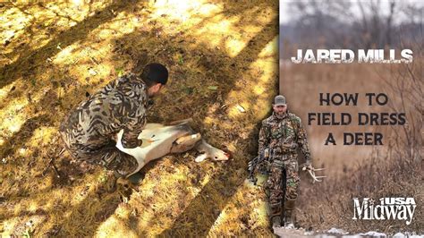 How To Field Dress A Deer Jared Mills Youtube