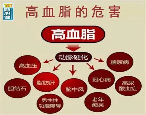 每天只吃素食就能控制血脂吗？高血脂患者应如何注意饮食？ 华盈泰医疗