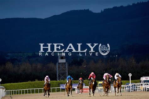 Dundalk Night Fall 221123 2.jpg | HEALY RACING LIVE