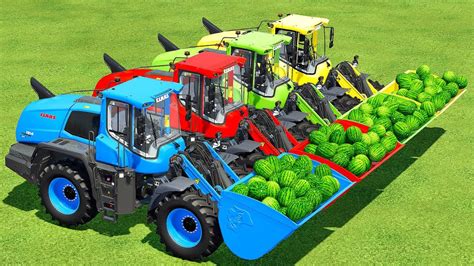 Transport Watermelons With Claas Tractors Claas Loaders Farming