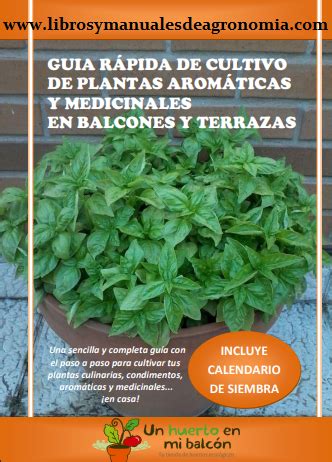 Plantas Aromáticas y Medicinales Manual gratis pdf Libros y Manuales