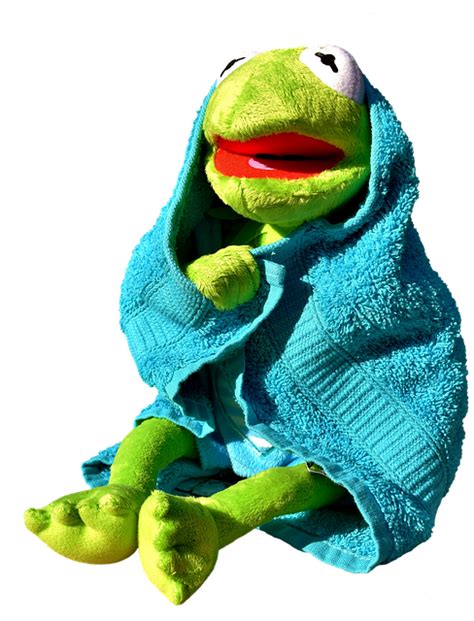 Kermit The Frog Png Transparent Images