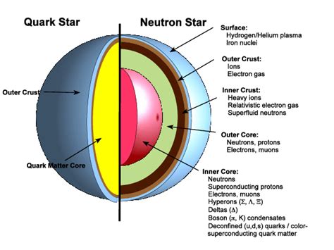 Schematic structures of quark stars and neutron stars. | Download ...