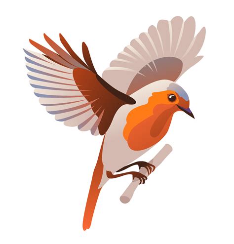 Bird Flying European Robin Cartoon Vector Illustration On A White