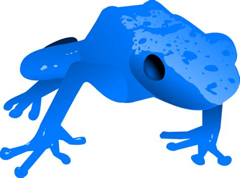 Endangered Blue Poison Dart Frog Clip Art At Clker Vector Clip