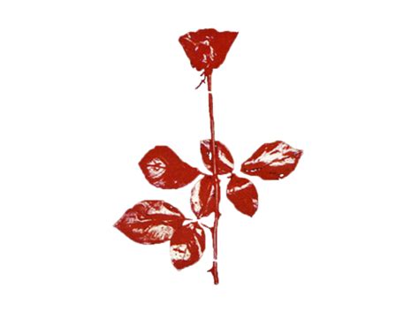 Violator Depeche Mode Rose