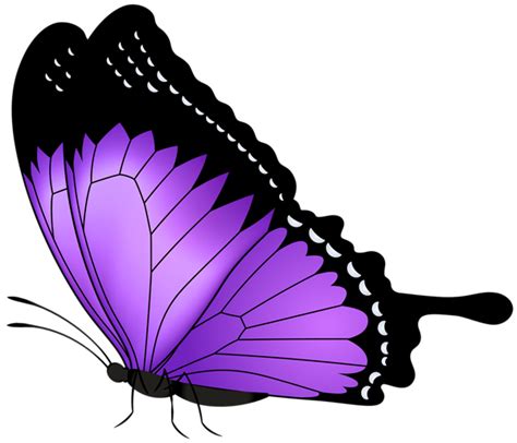 Purple Butterfly Transparent PNG Clip Art Image | Gallery Yopriceville - High-Quality Images and ...