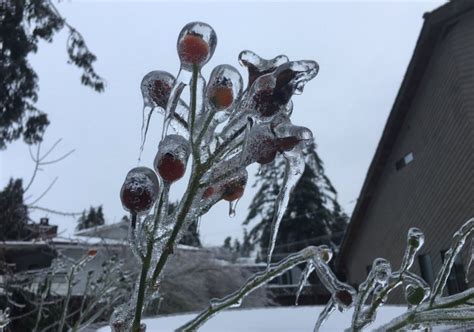 In Photos Heres What An Extreme Cold Snap Looks Like In Canada