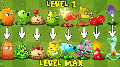 All Plants Max Level Vs All Zombie Max Level Who Will Wins Pvz