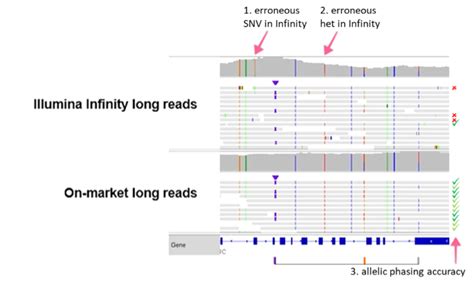 The Hifi Difference Getting The Right Answer Pacbio