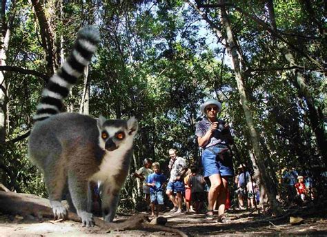 Monkeyland Primate Sanctuary, Plettenberg Bay, South Africa