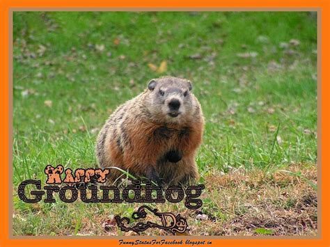 Happy Groundhog Day Quotes. QuotesGram