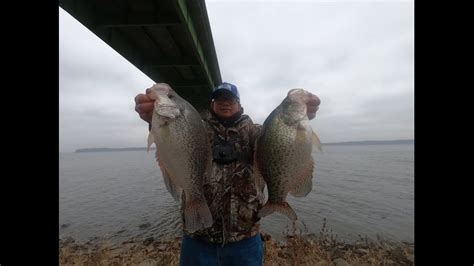 How To Catch Big Fall Crappies Youtube