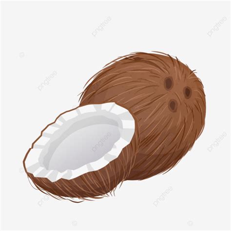 Fruta De Coco De Dibujos Animados De Corte De Coco PNG Dibujos Fruta