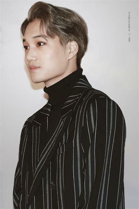 DAILYEXO Asia Artist Awards Exo Kai Kai