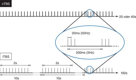 Theta Burst Stimulation Tbs Springerlink