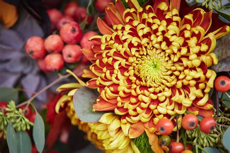 Fall For Autumn Colours Fall Flowers Bridal Bouquet Fall Beautiful