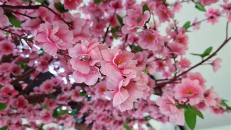 Artificial Japanese Cherry Blossom Stock Image - Image of shrub, leaf ...