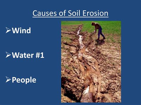 PPT Chapter 12 Soil And Agriculture PowerPoint Presentation Free