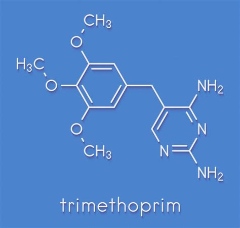 Enterobacter Cloacae: Facts, Symptoms, Treatment | STD.GOV Blog