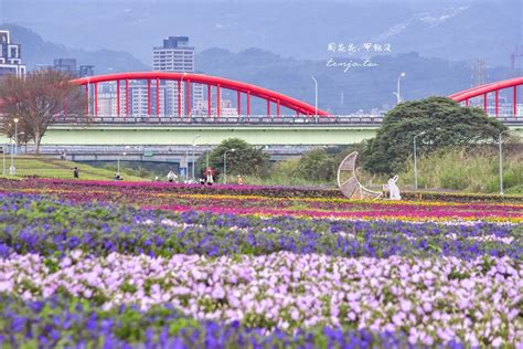 【台北景點】古亭河濱公園花海 2023年最新花況！開車停車捷運入口在哪交通資訊整理 周花花，甲飽沒