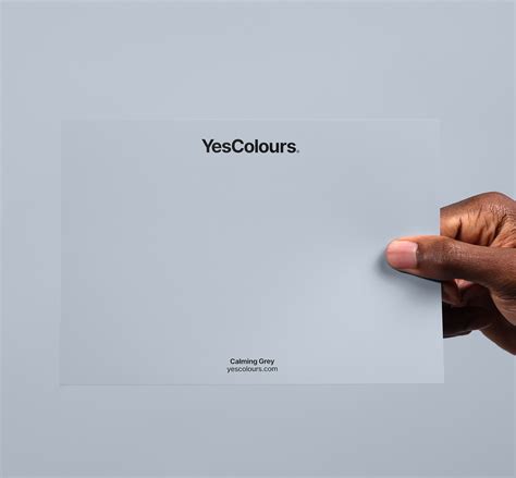 YesColours | Calming Grey paint swatch